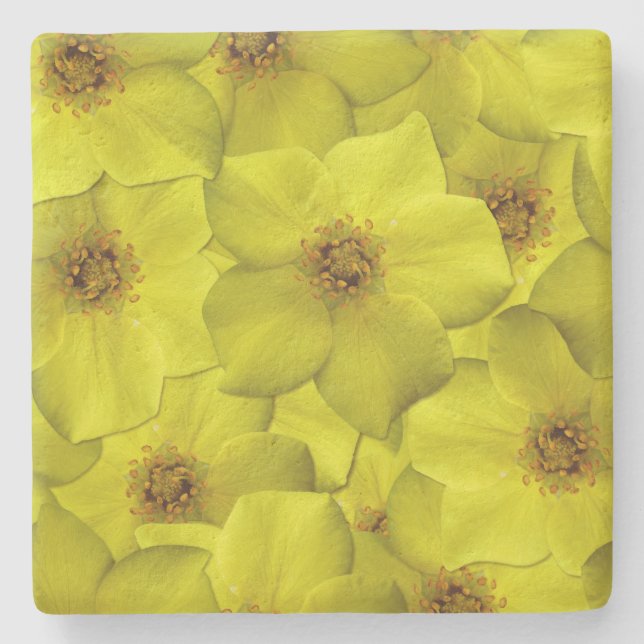 Posavasos De Piedra Patrón sin soldadura de Shrubby Cinquefoil (Anverso)