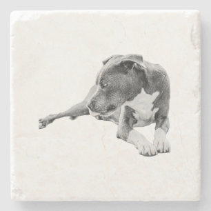 Posavasos De Piedra Pausa de otoño