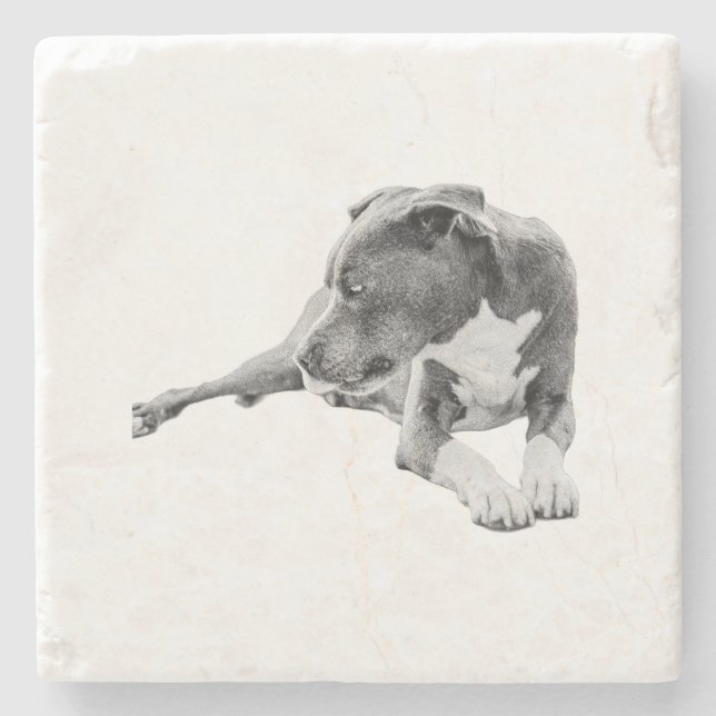 Posavasos De Piedra Pausa de otoño (Anverso)