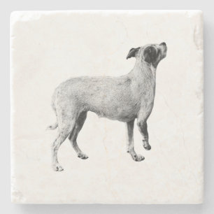 Posavasos De Piedra Pausa lateral: Mirando hacia arriba