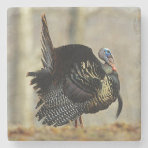 Posavasos De Piedra Pavo macho pavoneándose, Illinois