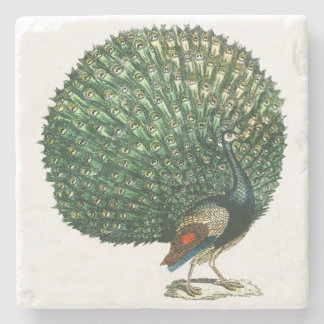 Posavasos De Piedra Pavo real del vintage