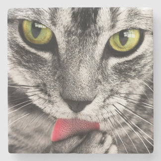 Posavasos De Piedra Paw de golpes de gatos en tabby