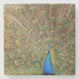 Posavasos De Piedra Peacock Tail Feathers
