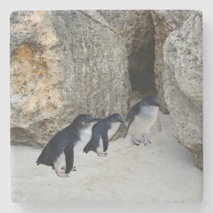 Posavasos De Piedra Penguin Beach House