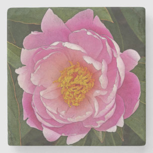 POSAVASOS DE PIEDRA PEONÍA ROSA (PEONÍA LIEBCHEN)