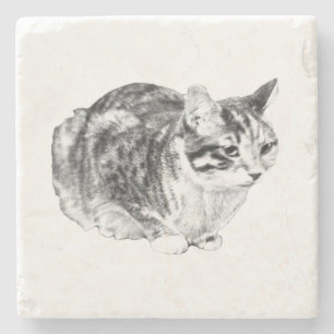 Posavasos De Piedra Pequeña Galería: Tabby en Cushion