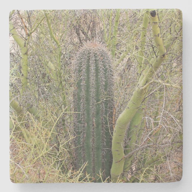 Posavasos De Piedra Pequeño Cactus Saguaro, Arizona, montaña de piedra (Anverso)