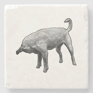 Posavasos De Piedra Pequeño Francotirador, sonrisa grande