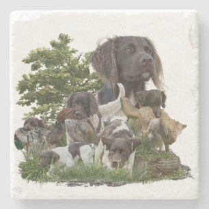 Posavasos De Piedra Pequeño Munsterlander