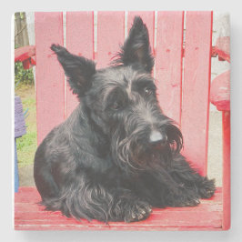 Posavasos De Piedra Pequeño Scottie en una gran silla roja
