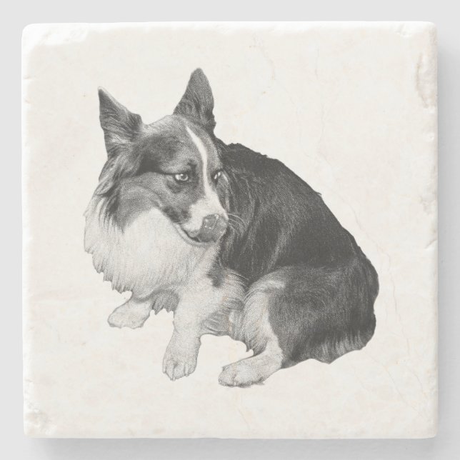 Posavasos De Piedra Perch de la Copa, amigo de Foxy (Anverso)