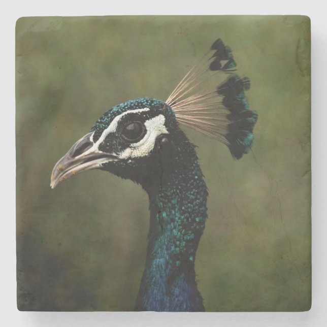 Posavasos De Piedra Perfil del pavo real (Anverso)
