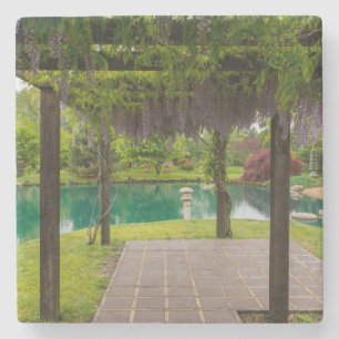 Posavasos De Piedra Pérgola De Wisteria