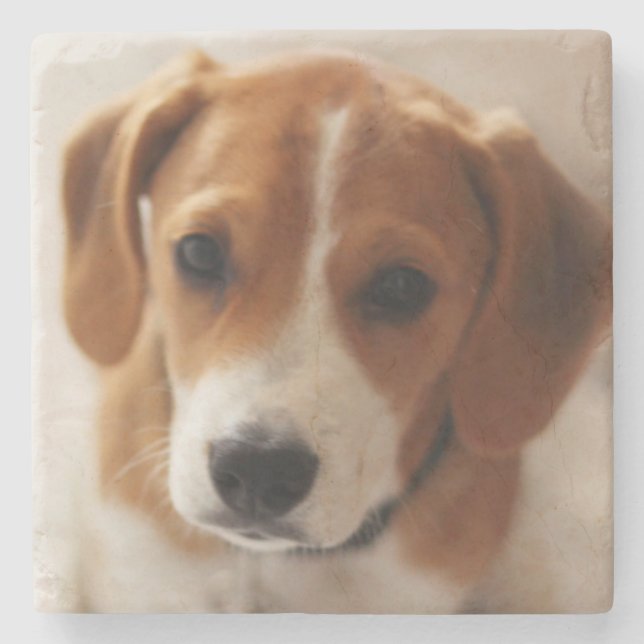 Posavasos De Piedra Perrito 2 del beagle (Anverso)