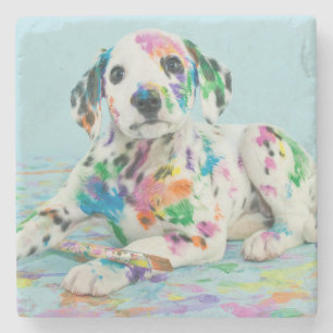 Posavasos De Piedra Perrito dálmata