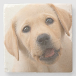 Posavasos De Piedra Perrito de oro de Labrador