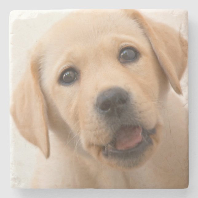 Posavasos De Piedra Perrito de oro de Labrador (Anverso)