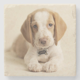 Posavasos De Piedra Perrito del beagle