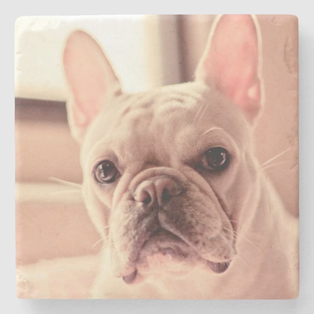 Posavasos De Piedra Perrito del bulldog francés (Anverso)
