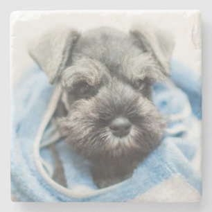 Posavasos De Piedra Perrito después del baño