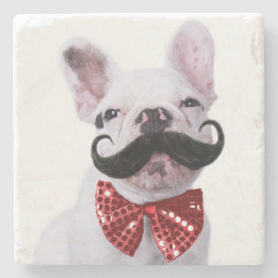 Posavasos De Piedra Perrito francés del bulldog con el bigote