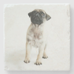 Posavasos De Piedra Perrito lindo del barro amasado