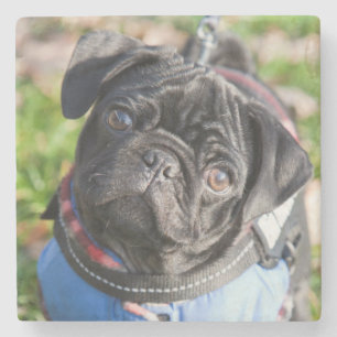Posavasos De Piedra Perrito negro del barro amasado que lleva una