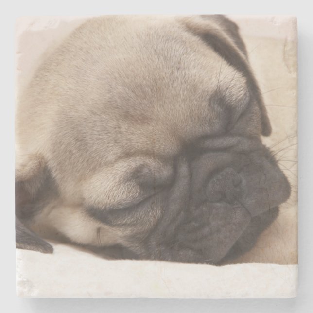 Posavasos De Piedra Perrito que duerme a fondo (Anverso)