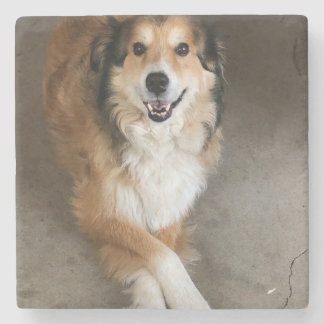 Posavasos De Piedra Perro