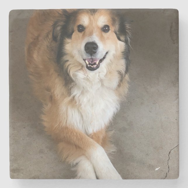 Posavasos De Piedra Perro (Anverso)