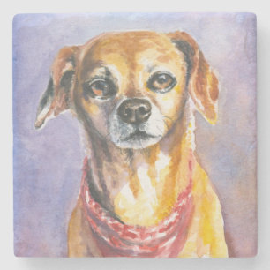 Posavasos De Piedra Perro 2