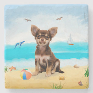 Posavasos De Piedra Perro Chihuahua en la playa