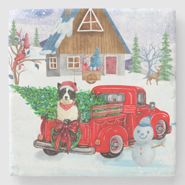 Posavasos De Piedra Perro Collie Fronterizo En Nieve De Camión De Entr (Anverso)