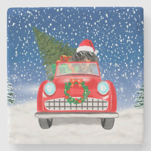 Posavasos De Piedra Perro Dachshund conduciendo un coche en la Navidad
