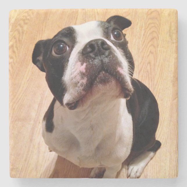 Posavasos De Piedra Perro de Boston Terrier (Anverso)