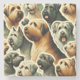 Posavasos De Piedra Perro de Briard inmaculado