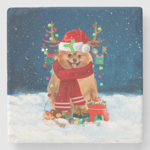 Posavasos De Piedra Perro de Pomerania con regalos de Navidades
