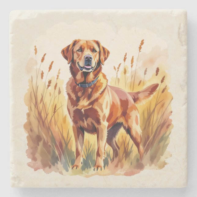 Posavasos De Piedra Perro Labrador Retriever Fox Rojo (Anverso)