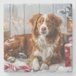 Posavasos De Piedra Perro Nova Scotia Duck Tolling Retriever Festivida