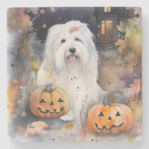 Posavasos De Piedra Perro pastor inglés antiguo de Halloween con calab