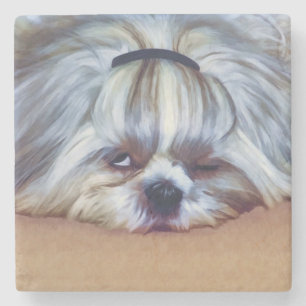 Posavasos De Piedra Perro soñoliento de Shih Tzu
