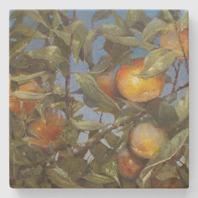 Posavasos De Piedra Persimmon Fruit Tree Hermosa Pintura Original (Anverso)