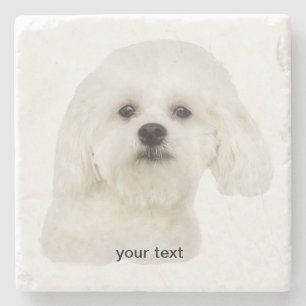 Posavasos De Piedra Personaliza cachorro maltés