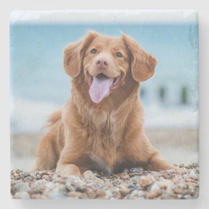 Posavasos De Piedra Personalizado de fotos personalizado cree su propi