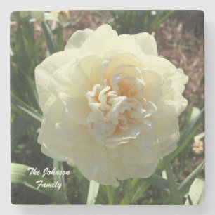 Posavasos De Piedra Personalizar blanco de Daffodil para su familia