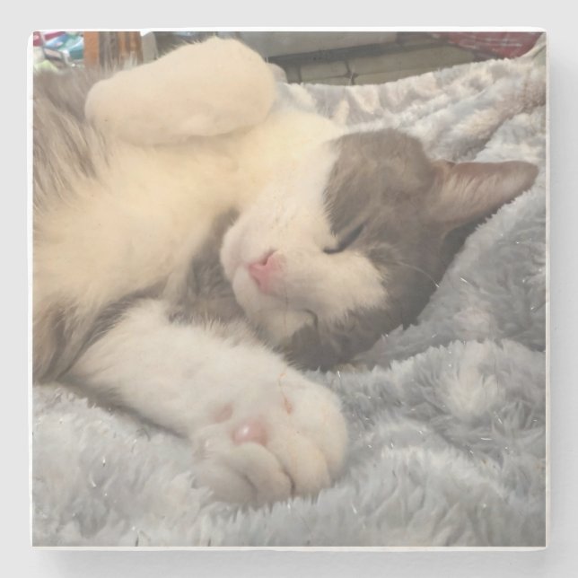 Posavasos De Piedra Personalized Cat Photo Pet Lover Gift (Anverso)