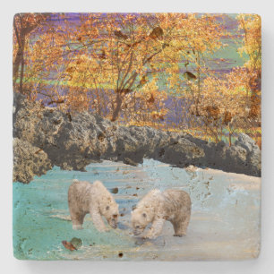 Posavasos De Piedra Pesca de los Osos Polares,