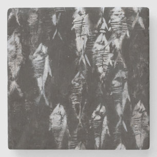 Posavasos De Piedra Pescados blancos fósiles en fondo negro