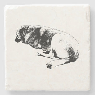 Posavasos De Piedra Peso Prensado En Paz
